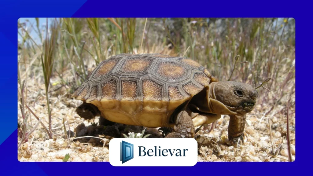 What Really Slows Down Your Smartphone